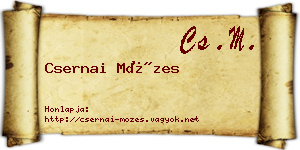 Csernai Mózes névjegykártya